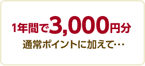 1年間で3,000円分通常ポイントに加えて・・・