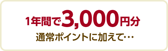 1年間で3,000円分通常ポイントに加えて・・・