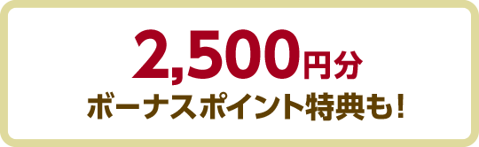 2,500円分ボーナスポイント特典も!