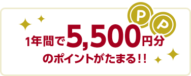 1年間で5,500円分のポイントがたまる!!