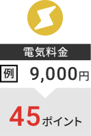 電気料金 例：9,000円→45ポイント