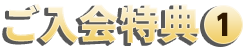 T1