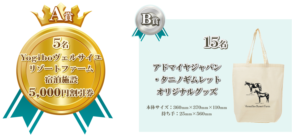 5名 Yogiboヴェルサイユリゾートファーム宿泊施設5,000円割引券 15名 アドマイヤジャパン・タニノギムレットオリジナルグッズ