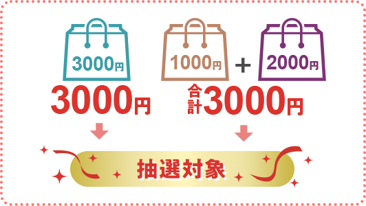 3000円 3000円 1000円+2000円 合計3000円 抽選対象