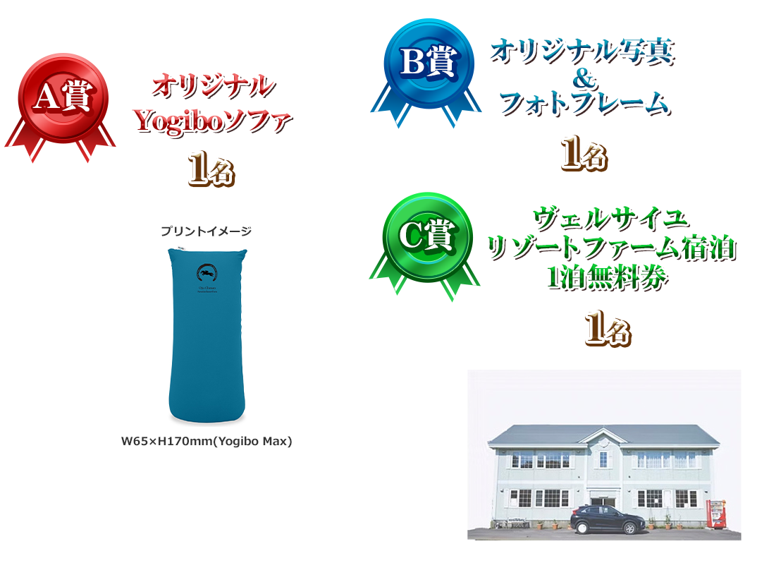A IWiYogibo\t@ 1 W65~H170mm(Yogibo Max)  B IWiʐ^tHgt[  1 C FTC][gt@[h1 1