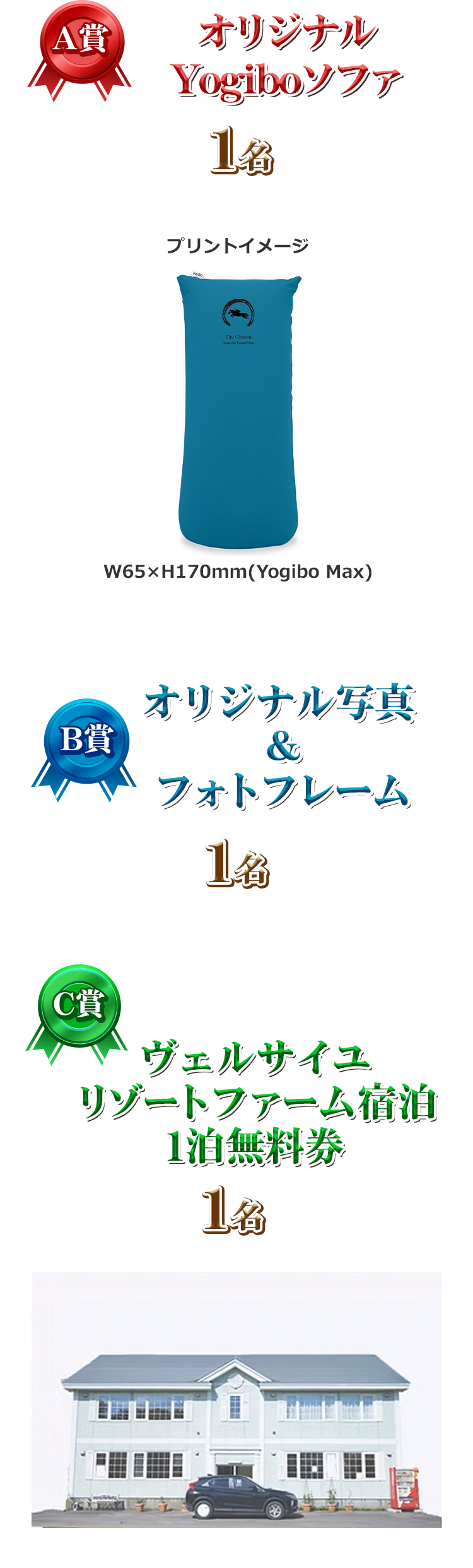 A IWiYogibo\t@ 1 W65~H170mm(Yogibo Max)  B IWiʐ^tHgt[  1 C FTC][gt@[h1 1