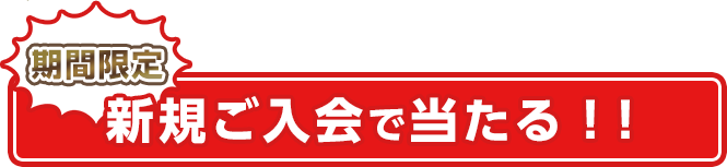 期間限定 新規ご入会で当たる!!