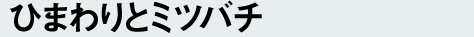 ひまわりとミツバチ