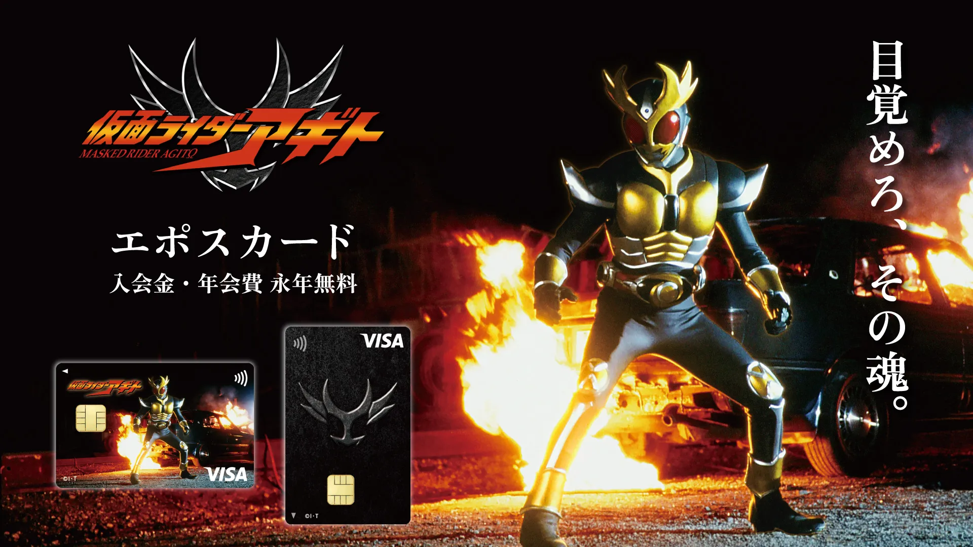 ���ʃ��C�_�[�A�M�g�G�|�X�J�[�h