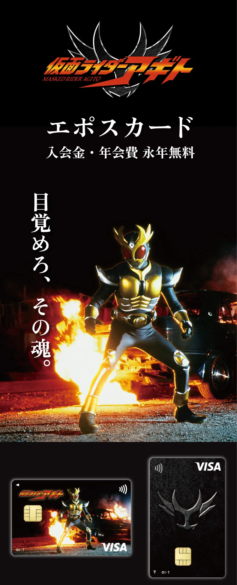 ���ʃ��C�_�[�A�M�g�G�|�X�J�[�h