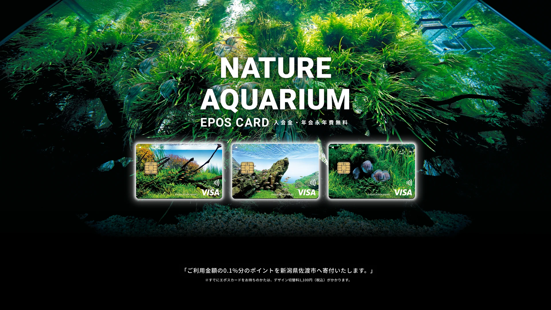NANURE AQUARIUM EPOS CARD ������E�N���i�N����