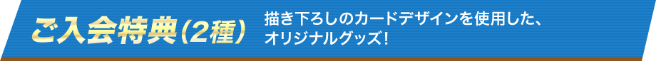 Ti2j `낵̃J[hfUCgpAIWiObYI