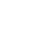 ニュース