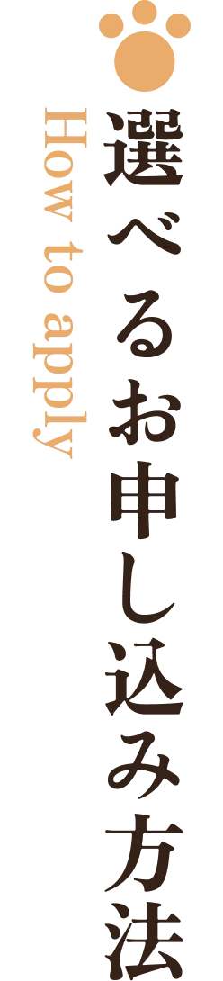 �I�ׂ邨�\�����ݕ��@