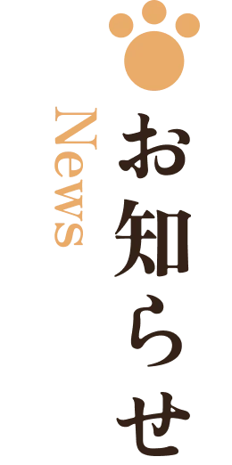 ���m�点