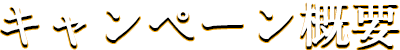 キャンペーン概要