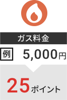 ガス料金 例：4,000円→20ポイント