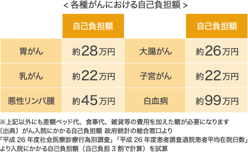 <各種がんにおける自己負担額>