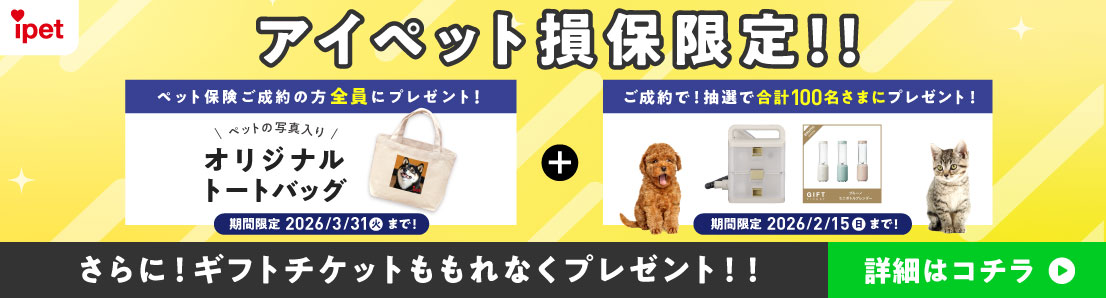 ACybgیII ybgی̕SɃv[gI ybg̎ʐ^IWig[gobO Ԍ 2026/3/31i΁j܂ŁI+ŁIIōv100܂Ƀv[gI Ԍ 2026/2/15ij܂ŁI ɁIMtg`PbgȂv[gII ڍׂ̓R`