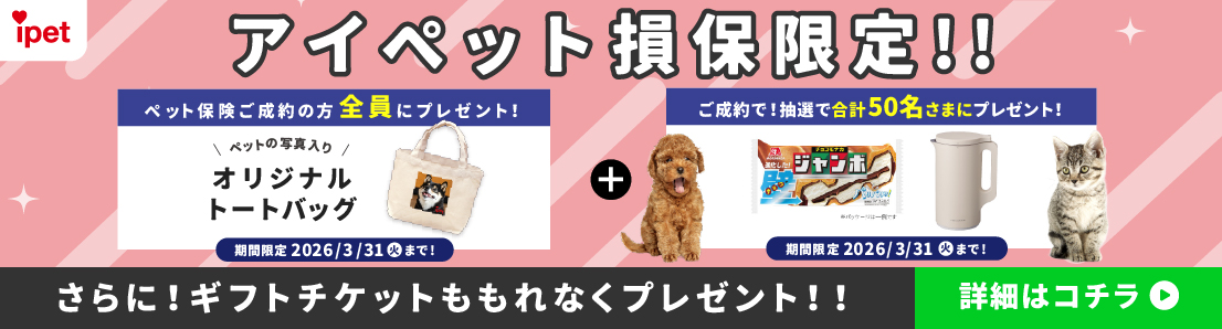 �A�C�y�b�g���ی���I�I �y�b�g�ی�������̕��S���Ƀv���[���g�I �y�b�g�̎ʐ^����I���W�i���g�[�g�o�b�O ���Ԍ��� 2026/3/31�i�΁j�܂ŁI �{ ������ŁI���I�ō��v50�����܂Ƀv���[���g�I ���Ԍ��� 2026/3/31�i�΁j�܂ŁI ����ɁI�M�t�g�`�P�b�g������Ȃ��v���[���g�I�I �ڍׂ̓R�`��