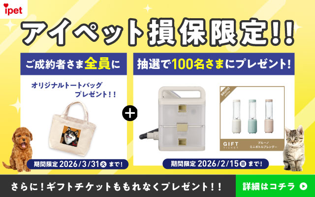 ACybgیII҂ܑSɃIWig[gobOv[gII Ԍ 2026/3/31i΁j܂ŁI+I100܂Ƀv[gI Ԍ 2026/2/15ij܂ŁI ɁIMtg`PbgȂv[gII ڍׂ̓R`