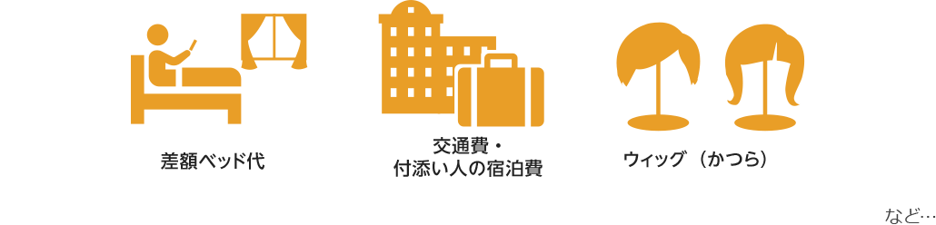 差額ベッド代 交通費・付添い人の宿泊費 ウィッグ(かつら) など…