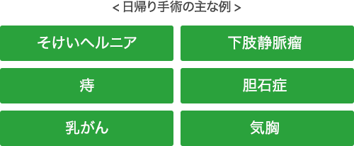 <日帰り手術の主な例> そけいヘルニア 痔 乳がん 下肢静脈瘤 胆石症 気胸