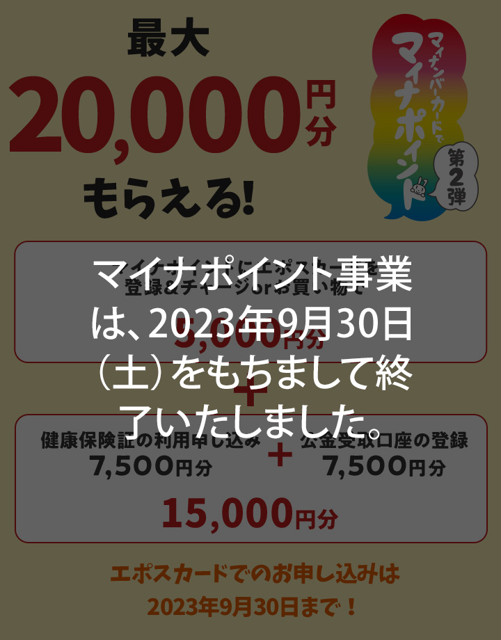 もらえる マイナ ポイント いつ